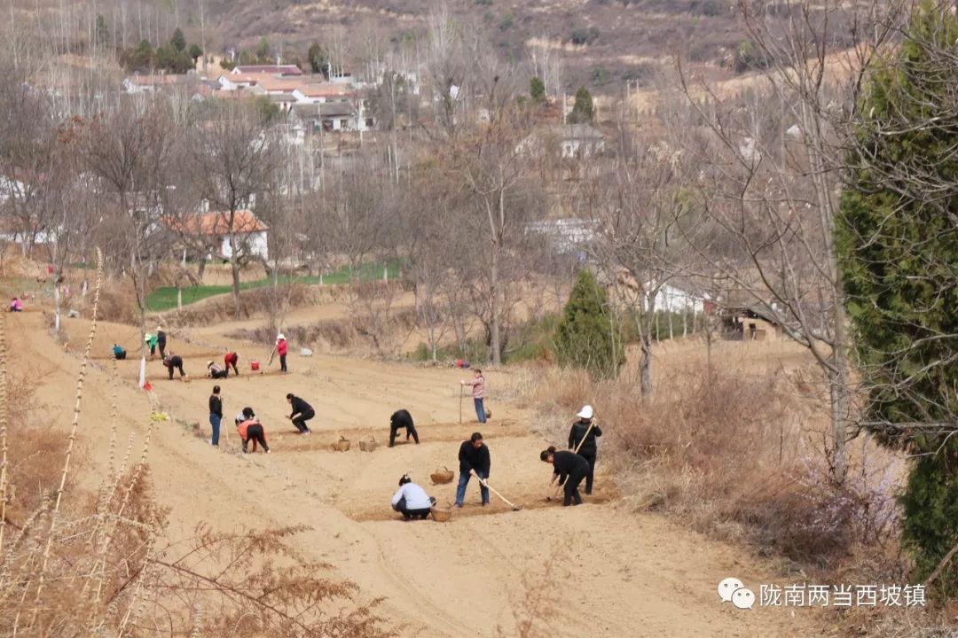 合作社带头贫困户增收,农民专业合作社带动贫困户分红