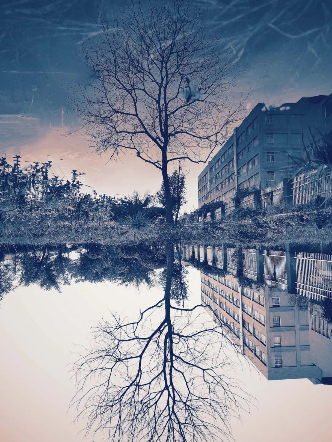 人人都是摄影师,人人都是摄影师首届全球拍照大赛