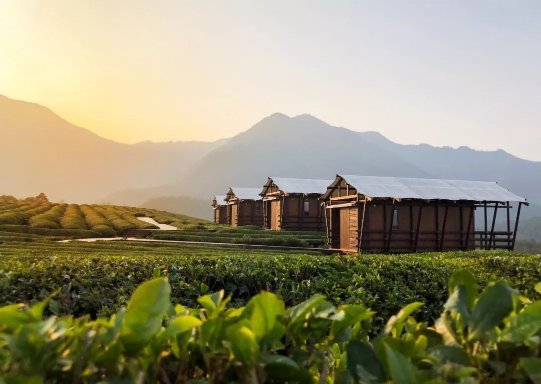 人人都是摄影师,人人都是摄影师首届全球拍照大赛