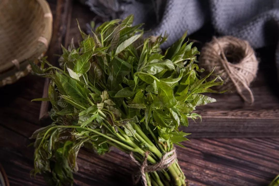 春天十大黄金野菜,中医养生必吃的9种食物