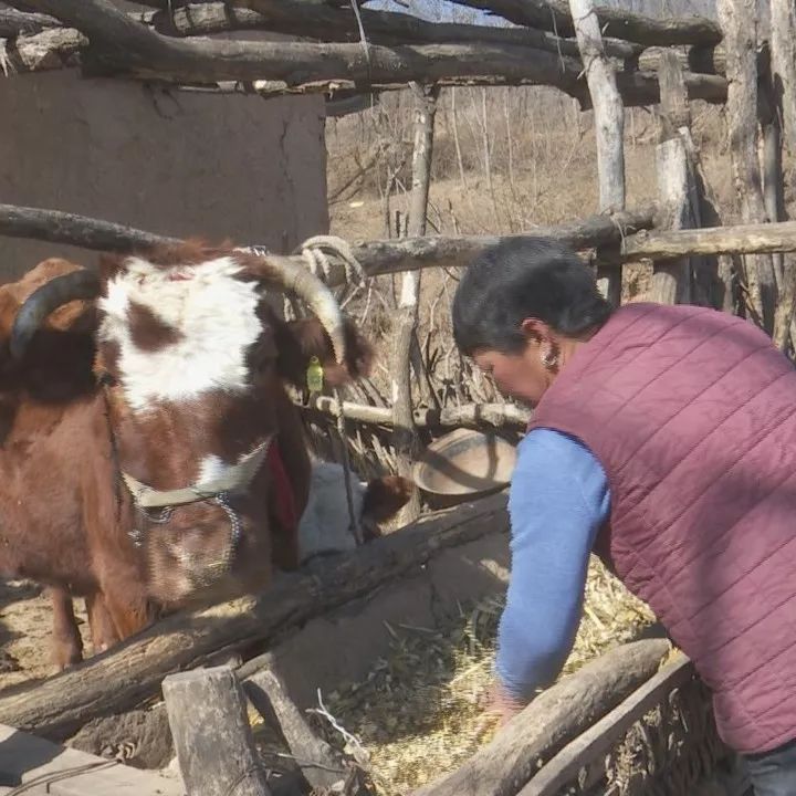 关注脱贫攻坚战聚焦精准扶贫,为打赢脱贫攻坚战再添一把力
