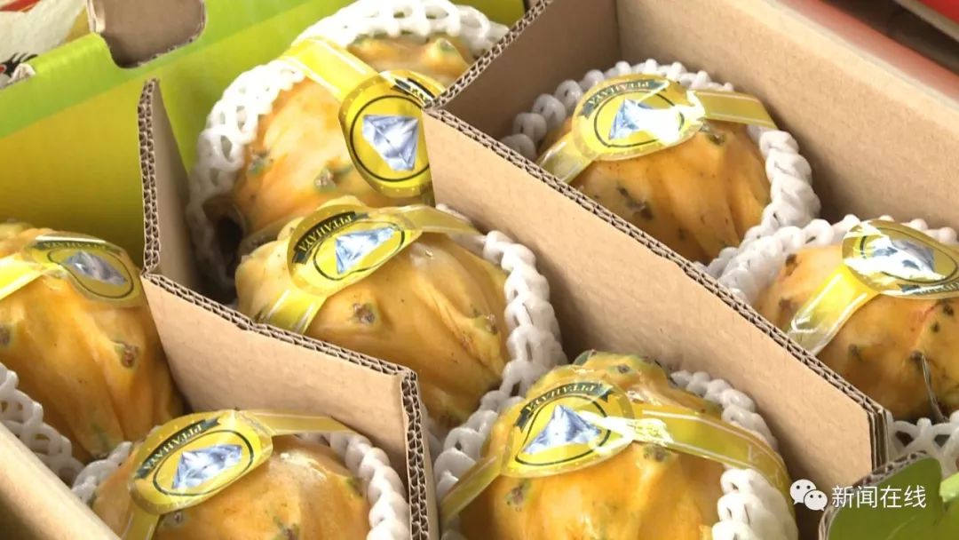 举报315假货会处理吗,315举报的所有食品