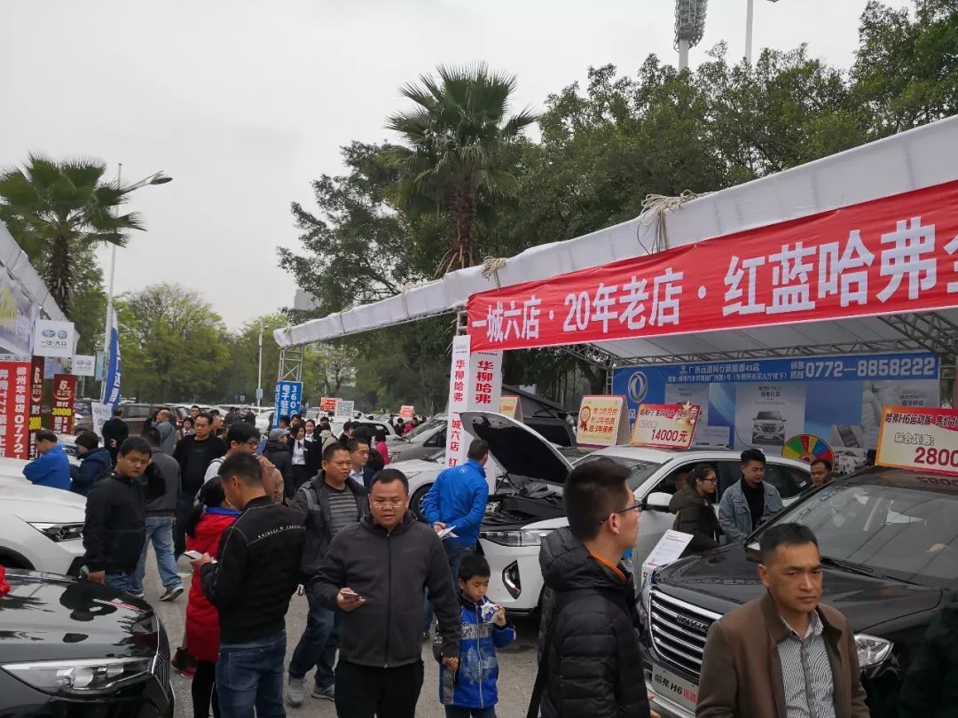 快来！优惠购车、金融服务、名企招聘都在这，错过等一年！