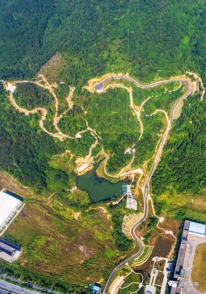 禾雀花美翻三月天,禾雀花盛开美翻三月天