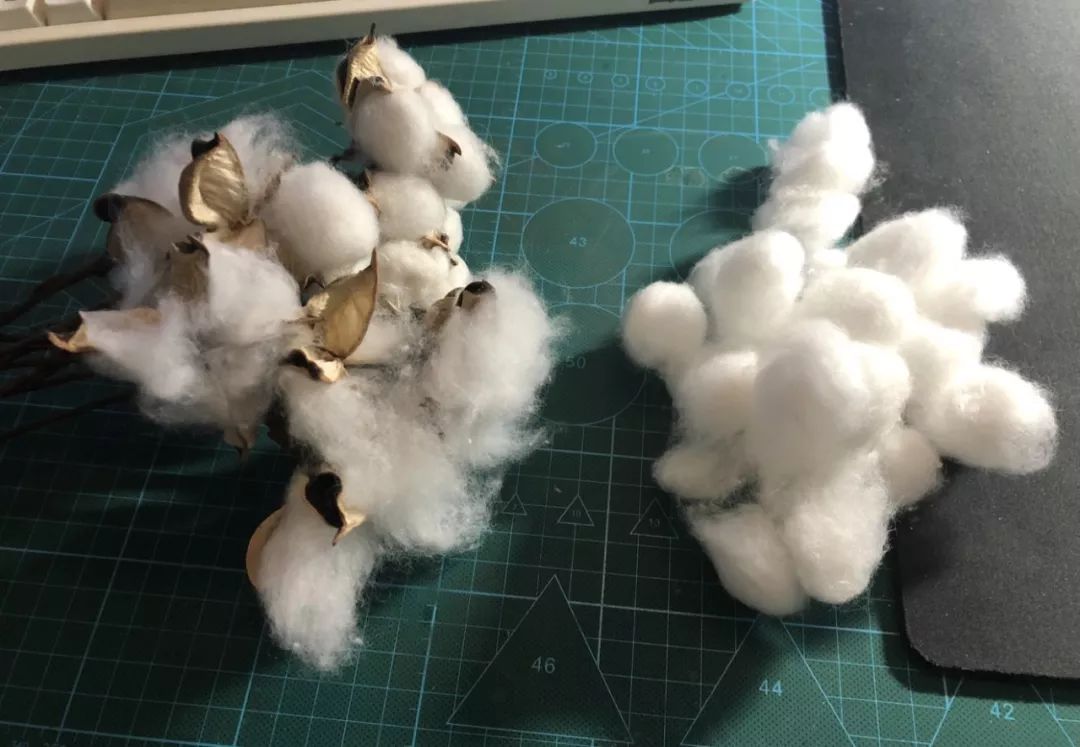 这大概是全世界最无聊的人了