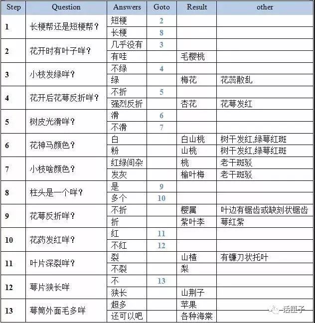 万花丛中,拍照选哪枝?话匣妹手把手教你过春天