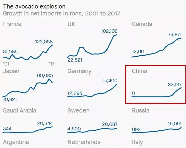中国牛油果车厘子 (车厘子和榴莲牛油果)