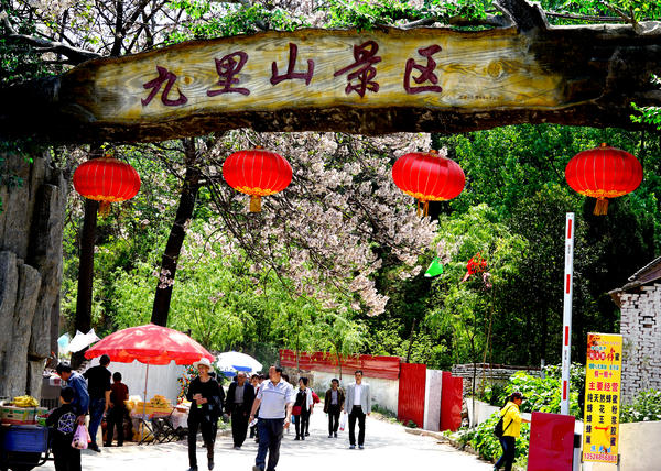 春游郑州这份赏花攻略请收好,郑州自驾踏青赏花好去处