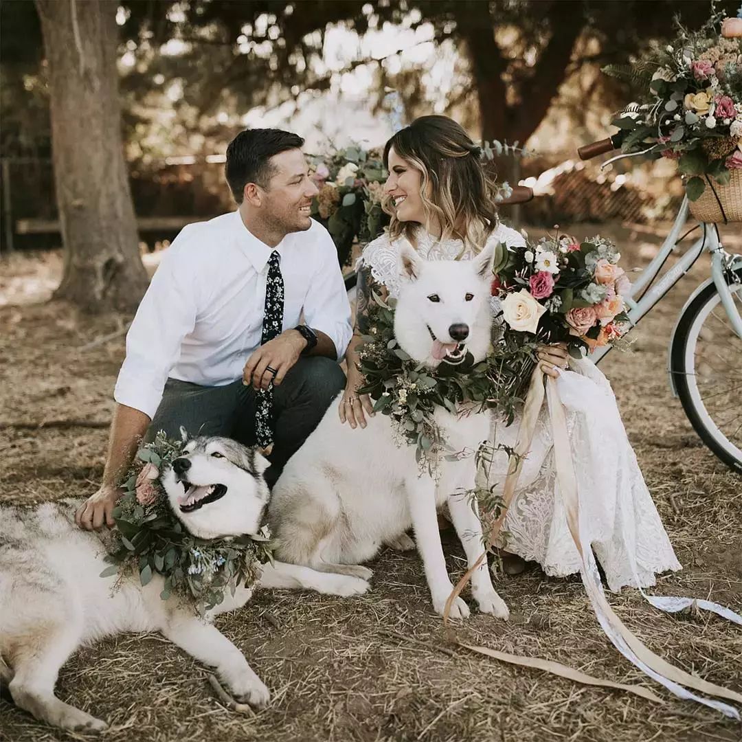 简单好看的婚纱画法,婚纱照五套风格穿搭推荐