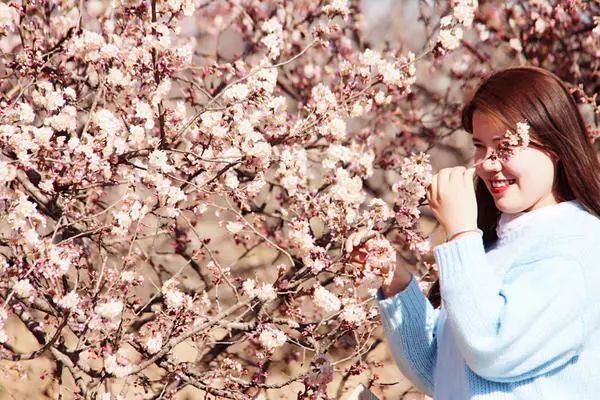 郑州周边踏青采摘野菜,郑州自驾踏青赏花好去处