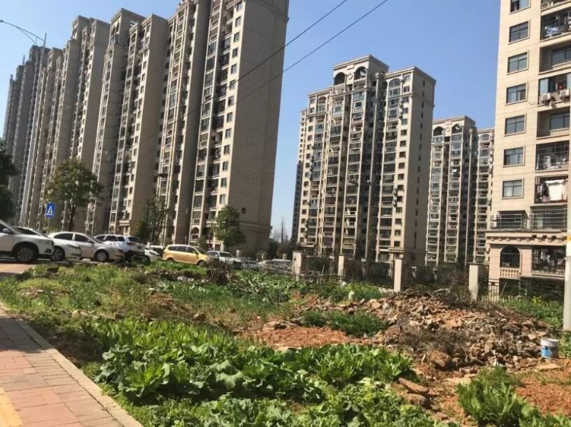 滨江8字头，准现房阳光丽城已经开始登记了！