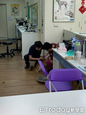 鎾掑▏鏌存煷瑙嗛澶у叏,鎾掑▏鏌寸姮琚墦