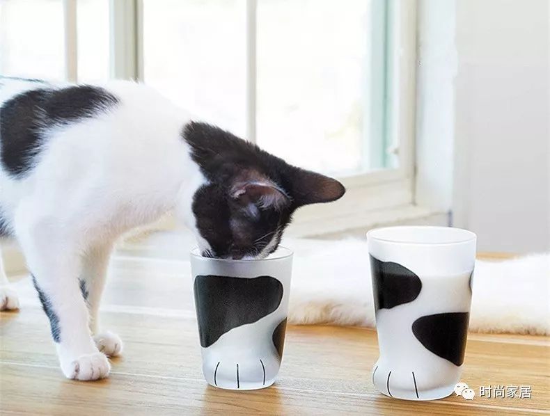 星巴克樱花限定猫爪杯同款,星巴克送的猫爪杯也太好看了