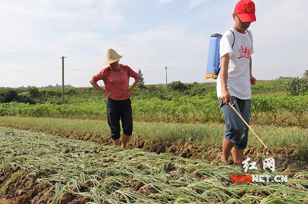 江西三支一扶两年期满后转编吗,三支一扶满两年后转正式编吗