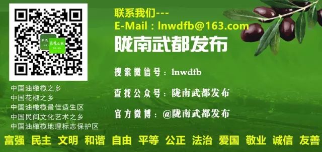 线上线下双渠道开展,线上线下双渠道融合