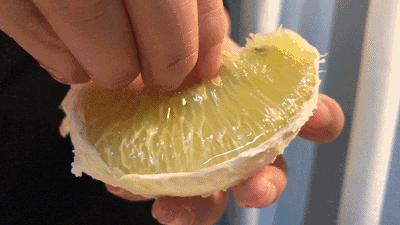 新鲜多汁的柚子又酸又甜,春天唯一的应季鲜柚