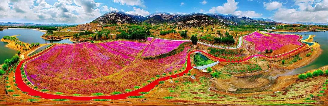 正当时莲花山踏青,莲花山赏花要预约吗