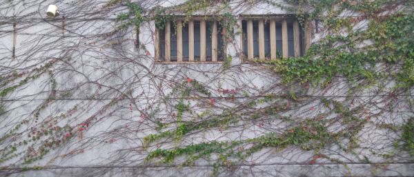 索尼xperia10iii评测,索尼xperia10ii玩游戏怎么样