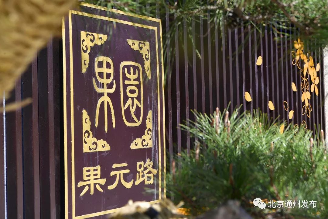 通州老城改造最新,通州违建最新消息