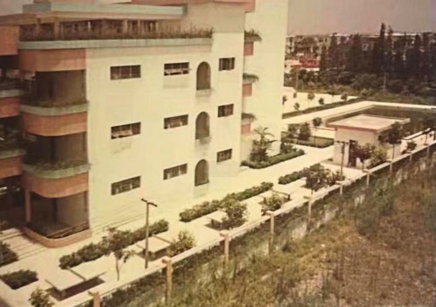 老照片1987年的夏天校园,夏西旧照片