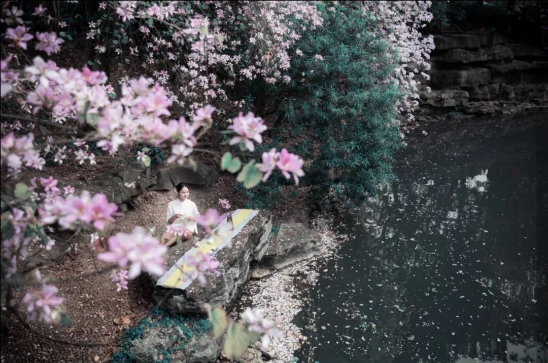 螺蛳粉征服世界,螺蛳粉征服全世界