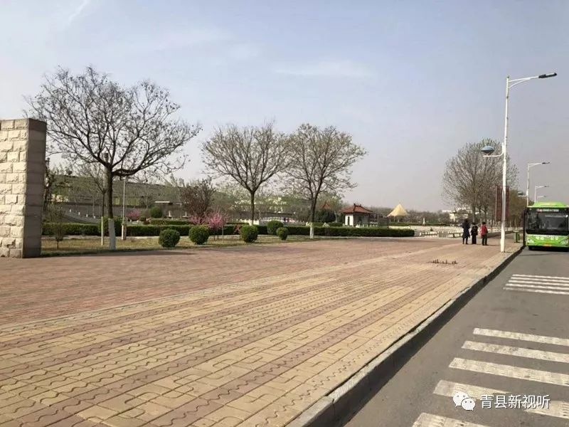 青县卫生健康,青县最新规划医院