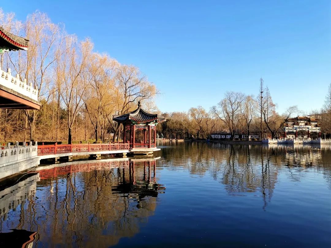 【方志四川•传统文化】中央*党**校景观中的传统文化