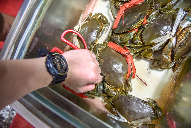 三亚风情街网红打卡地,四川去三亚5天4晚自由行网红打卡