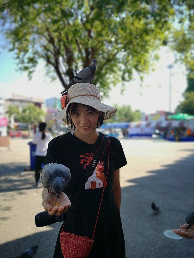 曼谷普吉岛7日自由行攻略,泰国曼谷清迈详细旅游攻略