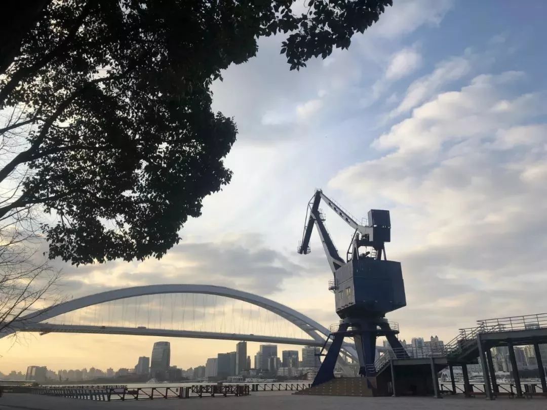 上海黄浦江旁边的公园,黄浦江边上的公园