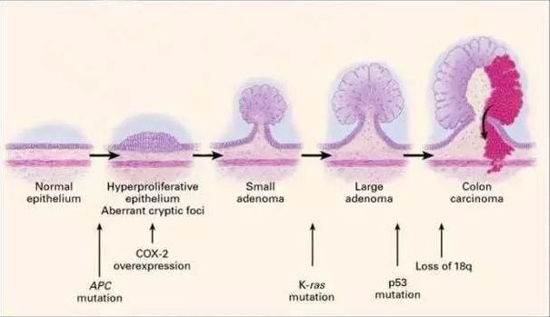 协和名医林国乐,协和林国乐讲座