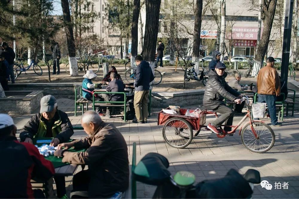 养40只流浪猫建新家,家里有18只流浪猫