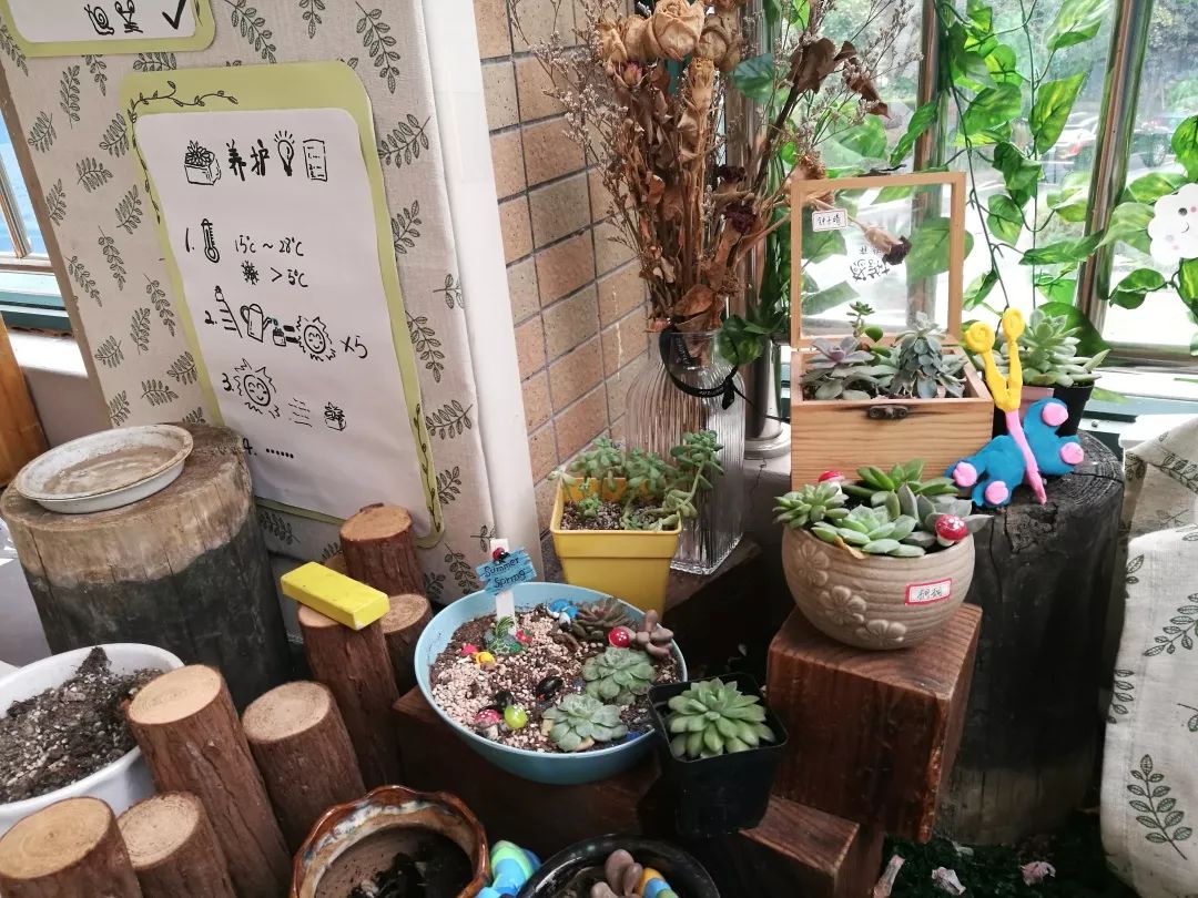 海量美图100张,海量高清美图