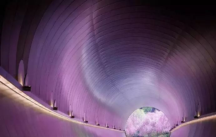 日本有关樱花的照片,日本最美樱花图