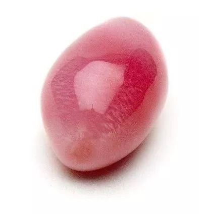 海螺珍珠饰品,海螺珠珠宝品牌