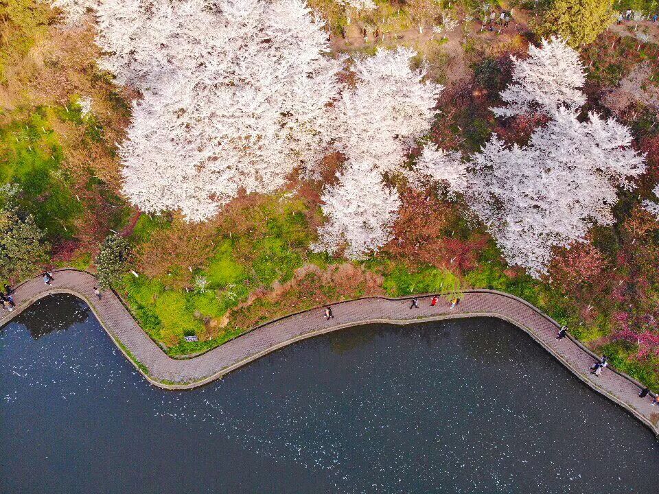锻炼就在家门口！宜昌30所学校向社会开放运动场馆