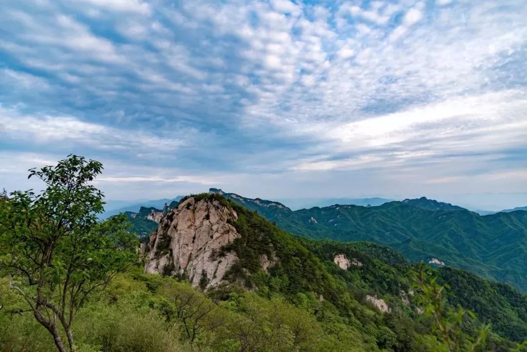 免票或半价！全国几百个景区集体降价，河南有这些…千万别错过！