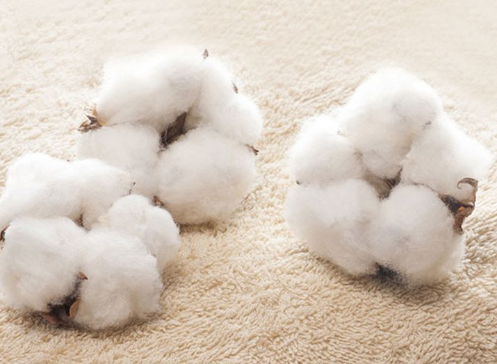 值得买|比纯棉更透气！比亚麻更柔软！这样的神仙四件套真的存在！