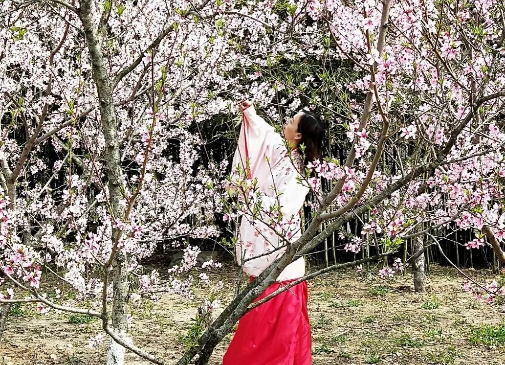 连云港市旅游景点开放通知,江苏连云港景区免费开放通知