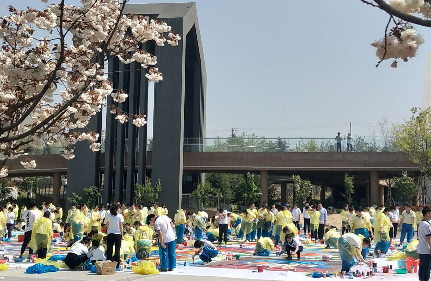 青岛六中美术专业,青岛六中今年考上央美的有多少名