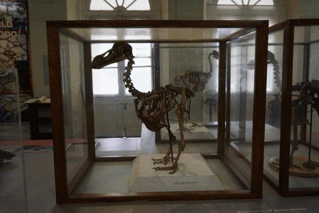 怎么去毛里求斯自由行旅游攻略,毛里求斯环岛路线