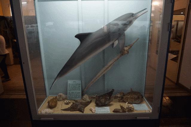 怎么去毛里求斯自由行旅游攻略,毛里求斯环岛路线