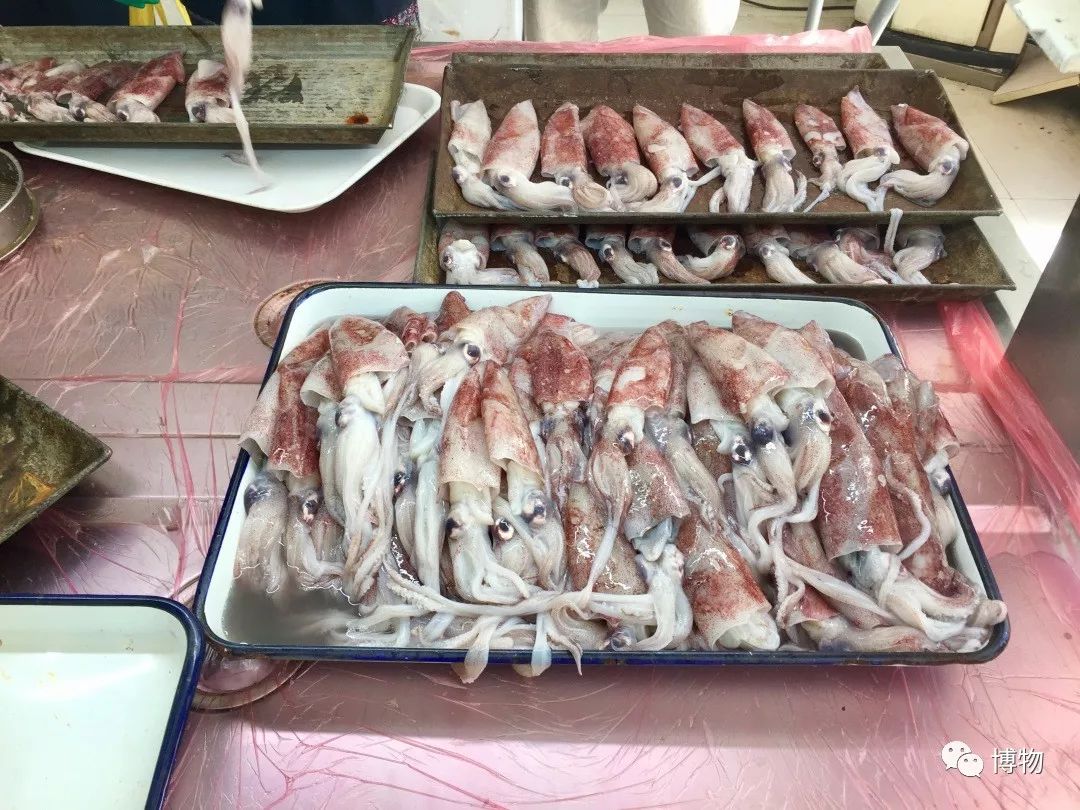 鱿鱼肚子里有长长的塑料片,鱿鱼塑料片