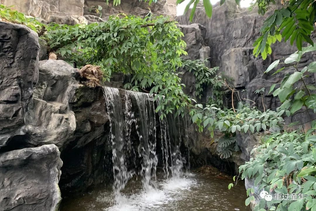 西安一个很有特色的公园,西安唯一要门票的公园