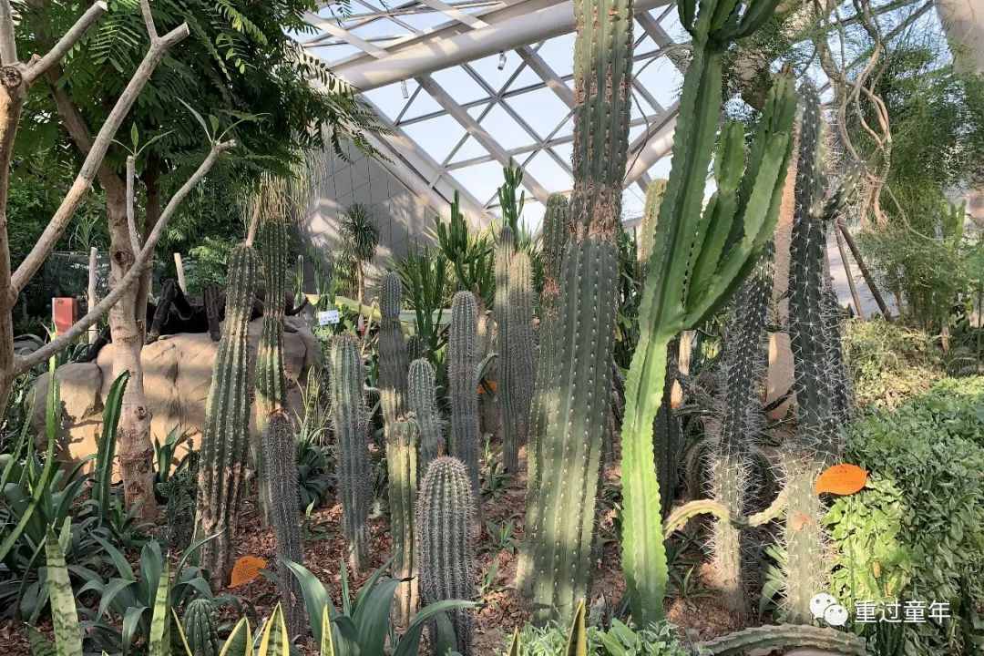 西安一个很有特色的公园,西安唯一要门票的公园