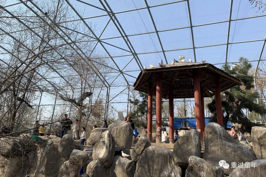 西安一个很有特色的公园,西安十大免费景区公园