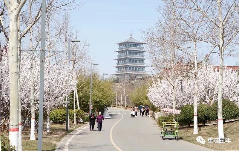 西安一个很有特色的公园,西安唯一要门票的公园
