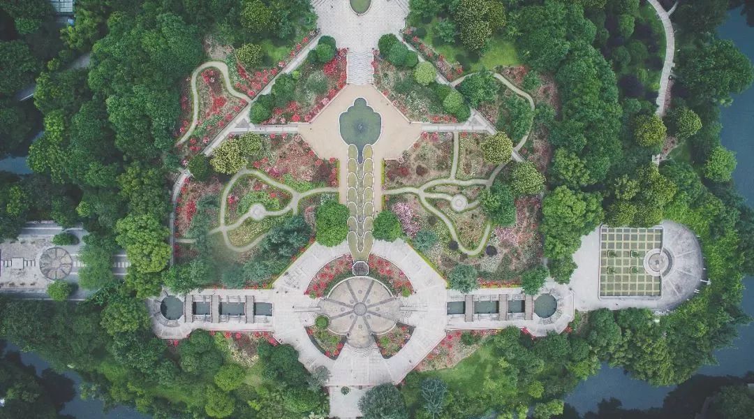 麻宁推荐|中国最时尚的未来花世界，拍照太出片了！