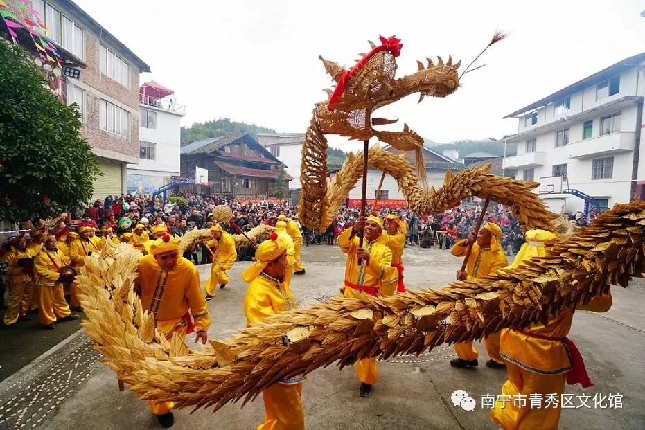 群龙聚首贺新春,青秀区国际传统舞龙邀请赛