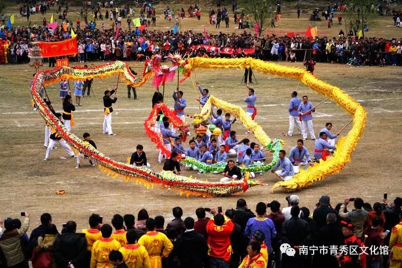 群龙聚首贺新春,青秀区国际传统舞龙邀请赛